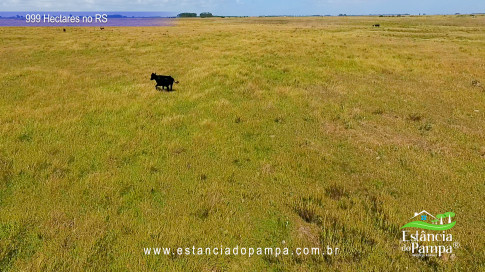 12. Levanta Velho.00_01_04_04.Quadro021_8f0729b9b3417cded57c78e4da43e541607d2816.jpg